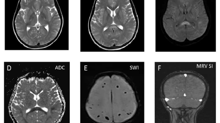 April 2021 image1 - Copy